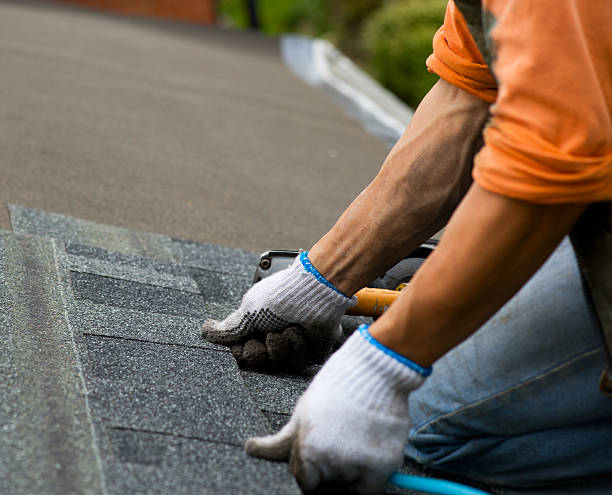 Best Sealant for Roof  in Forest Park, OH